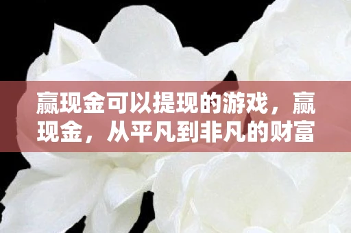 赢现金可以提现的游戏，赢现金，从平凡到非凡的财富之旅