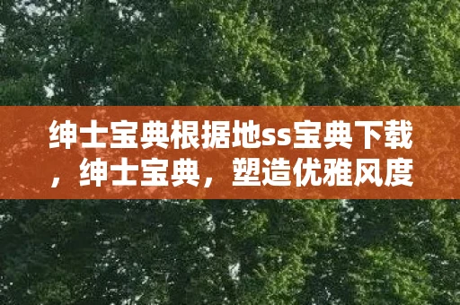 绅士宝典根据地ss宝典下载，绅士宝典，塑造优雅风度的全方位指南