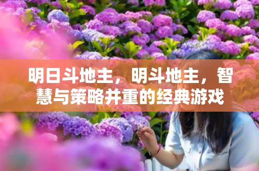 明日斗地主，明斗地主，智慧与策略并重的经典游戏