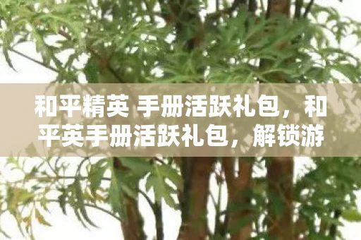 和平精英 手册活跃礼包，和平英手册活跃礼包，解锁游戏新体验