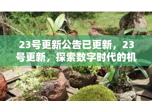 23号更新公告已更新，23号更新，探索数字时代的机遇与挑战