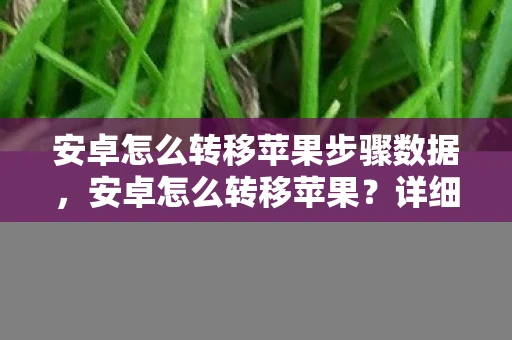 安卓怎么转移苹果步骤数据，安卓怎么转移苹果？详细步骤解析