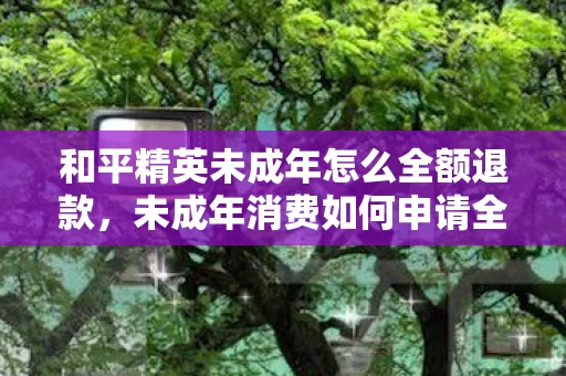 和平精英未成年怎么全额退款，未成年消费如何申请全额退款？