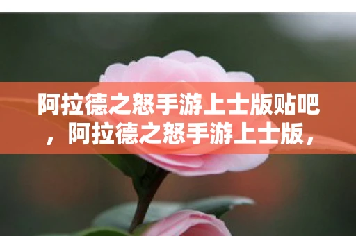 阿拉德之怒手游上士版贴吧，阿拉德之怒手游上士版，重温经典，再燃激情