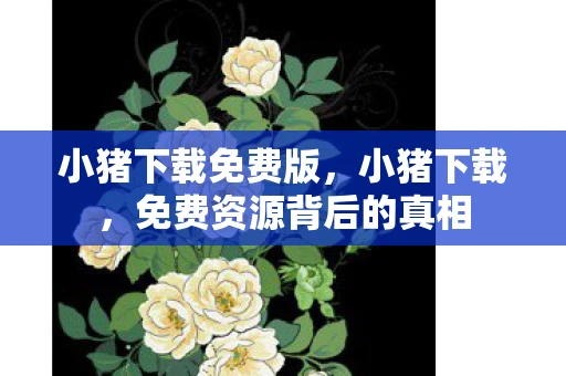 小猪下载免费版，小猪下载，免费资源背后的真相