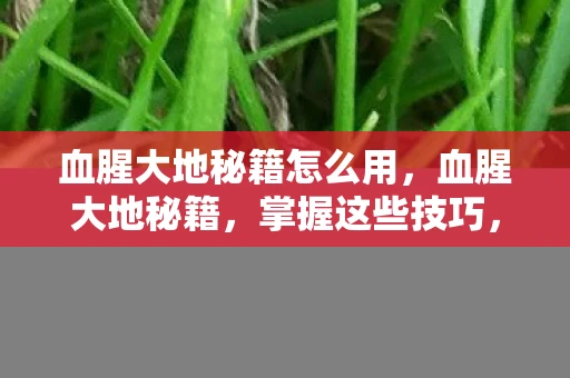 血腥大地秘籍怎么用，血腥大地秘籍，掌握这些技巧，成为游戏高手