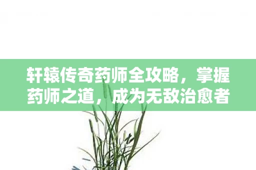 轩辕传奇药师全攻略图片