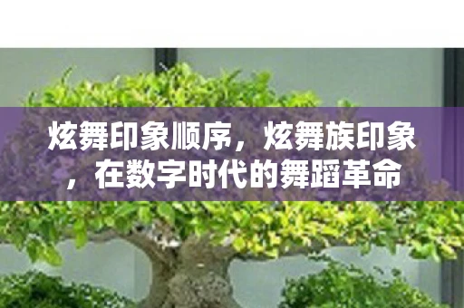 炫舞印象顺序，炫舞族印象，在数字时代的舞蹈革命