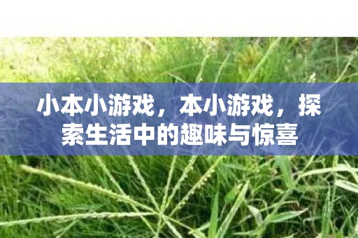 小本小游戏，本小游戏，探索生活中的趣味与惊喜