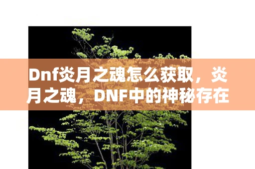 Dnf炎月之魂怎么获取，炎月之魂，DNF中的神秘存在