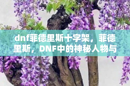 dnf菲德里斯十字架，菲德里斯，DNF中的神秘人物与背后的故事