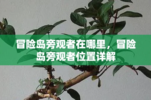 冒险岛旁观者在哪里，冒险岛旁观者位置详解