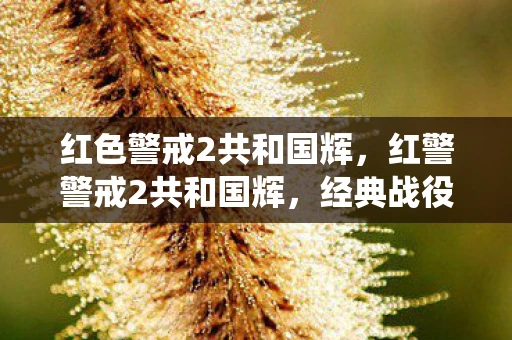 红色警戒2共和国辉，红警警戒2共和国辉，经典战役的辉煌与荣耀