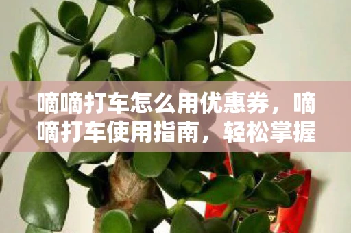 嘀嘀打车怎么用优惠券，嘀嘀打车使用指南，轻松掌握出行新技能