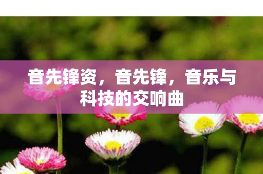 音先锋资，音先锋，音乐与科技的交响曲