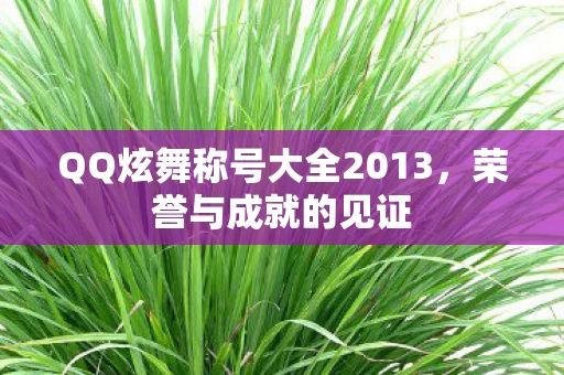 QQ炫舞称号大全2013图片