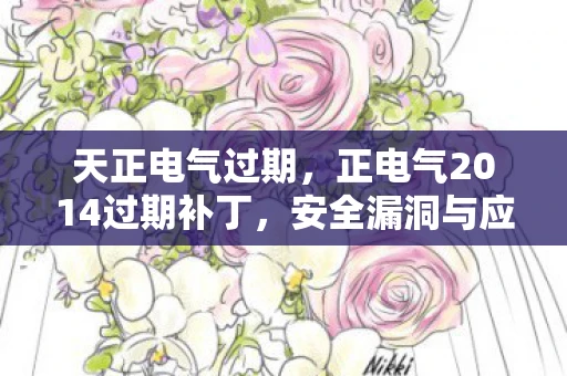 天正电气过期，正电气2014过期补丁，安全漏洞与应对措施