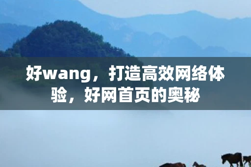 好wang，打造高效网络体验，好网首页的奥秘
