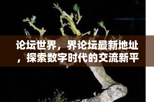 论坛世界，界论坛最新地址，探索数字时代的交流新平台