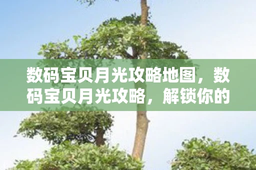 数码宝贝月光攻略地图，数码宝贝月光攻略，解锁你的数码世界之旅