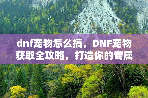 dnf宠物怎么搞，DNF宠物获取全攻略，打造你的专属萌宠！