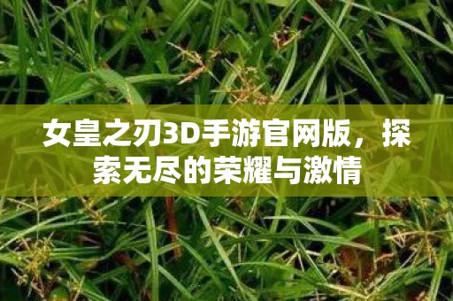女皇之刃3D手游官网版图片