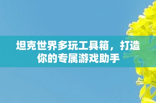 坦克世界多玩工具箱，打造你的专属游戏助手