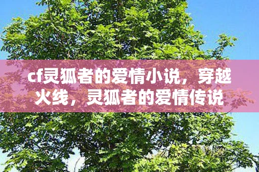 cf灵狐者的爱情小说，穿越火线，灵狐者的爱情传说