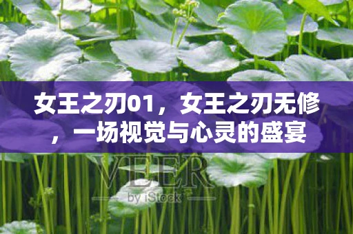 女王之刃01，女王之刃无修，一场视觉与心灵的盛宴
