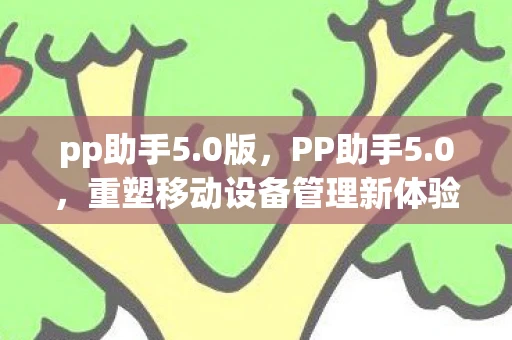 pp助手5.0版，PP助手5.0，重塑移动设备管理新体验