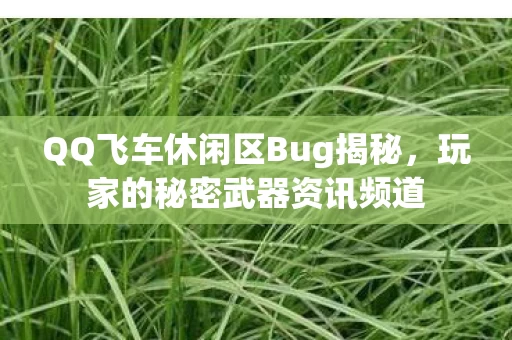 QQ飞车休闲区Bug揭秘图片