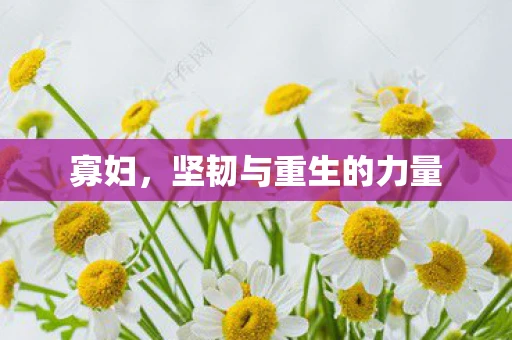 寡妇，坚韧与重生的力量