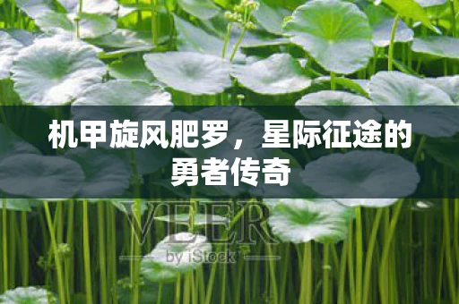 星际征途的勇者传奇图片
