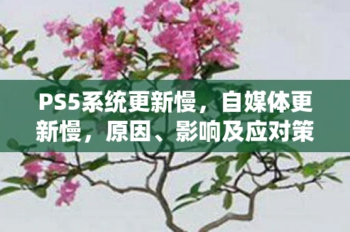 PS5系统更新慢，自媒体更新慢，原因、影响及应对策略