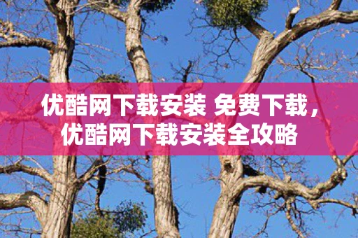 优酷网下载安装 免费下载，优酷网下载安装全攻略