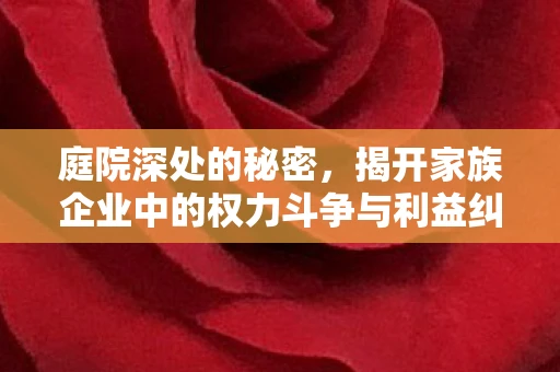庭院深处的秘密，揭开家族企业中的权力斗争与利益纠葛