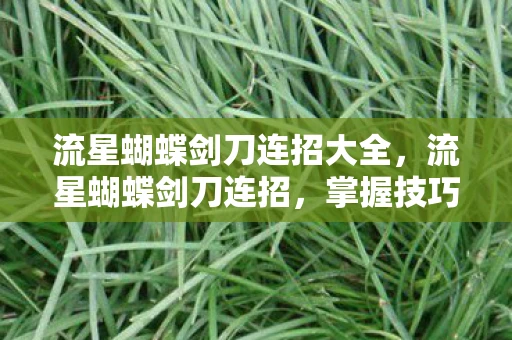 流星蝴蝶剑刀连招大全，流星蝴蝶剑刀连招，掌握技巧，提升战斗效率