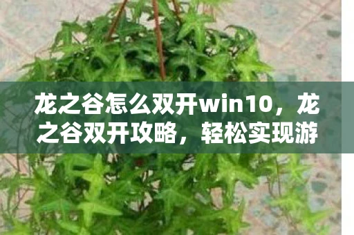 龙之谷怎么双开win10，龙之谷双开攻略，轻松实现游戏多开，畅享双倍乐趣