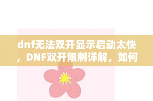 dnf无法双开显示启动太快，DNF双开限制详解，如何突破限制与注意事项