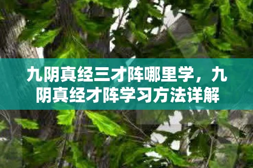 九阴真经三才阵哪里学，九阴真经才阵学习方法详解