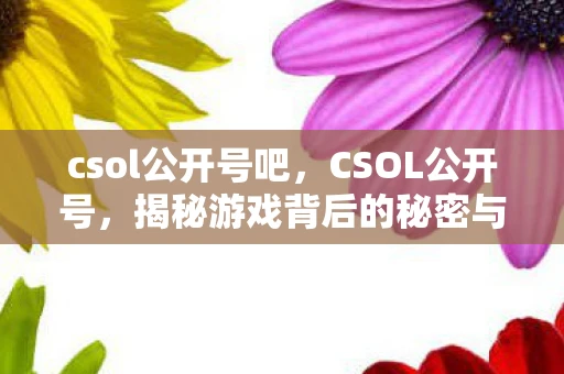 csol公开号吧，CSOL公开号，揭秘游戏背后的秘密与策略