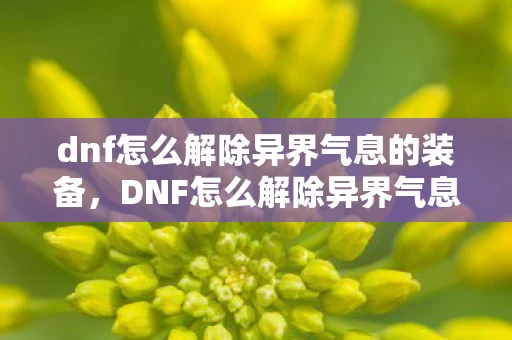 dnf怎么解除异界气息的装备，DNF怎么解除异界气息？