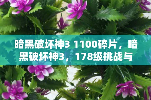 暗黑破坏神3 1100碎片，暗黑破坏神3，178级挑战与成长之路
