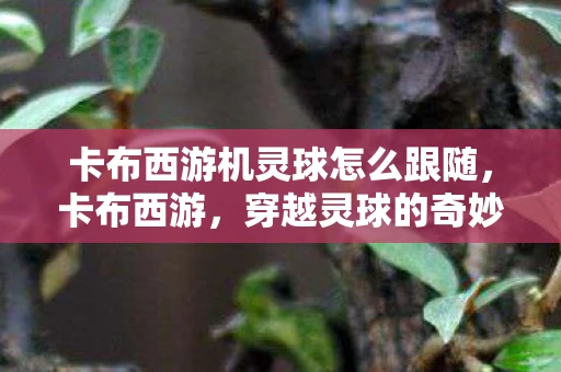 卡布西游机灵球怎么跟随，卡布西游，穿越灵球的奇妙冒险