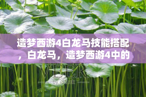 造梦西游4白龙马技能搭配，白龙马，造梦西游4中的传奇坐骑