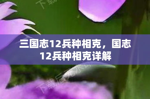 三国志12兵种相克，国志12兵种相克详解