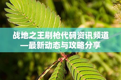 战地之王刷枪代码资讯频道图片