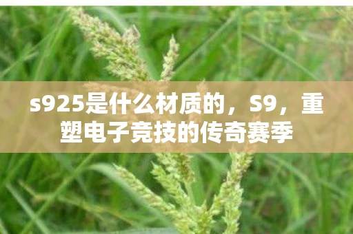 s925是什么材质的，S9，重塑电子竞技的传奇赛季