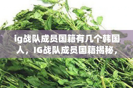ig战队成员国籍有几个韩国人，IG战队成员国籍揭秘，一支来自全球各地的电竞精英队伍