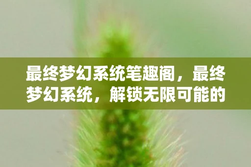 最终梦幻系统笔趣阁，最终梦幻系统，解锁无限可能的科技之旅